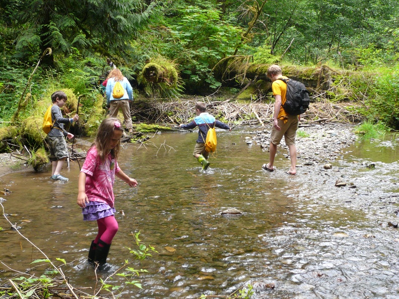 Creek Exploring at the Kitsap Forest Theater