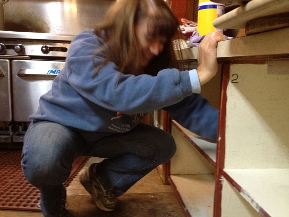 Diane cleaning a cupboard
