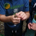 Micah found a frog in the creek