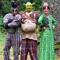 Donkey, Shrek, Fiona 