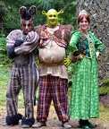 Donkey, Shrek, Fiona 