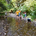 At the Creek