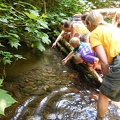 Exploring the Creek