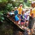 Exploring the Creek