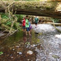 At the Creek