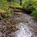 Wildcat Creek