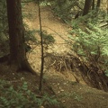 Erosion at the Creek